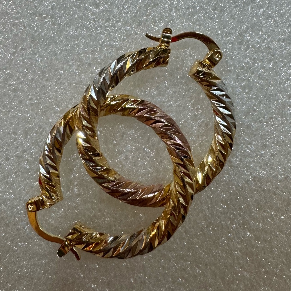 Elegant Gold and Silver Hoop Earrings